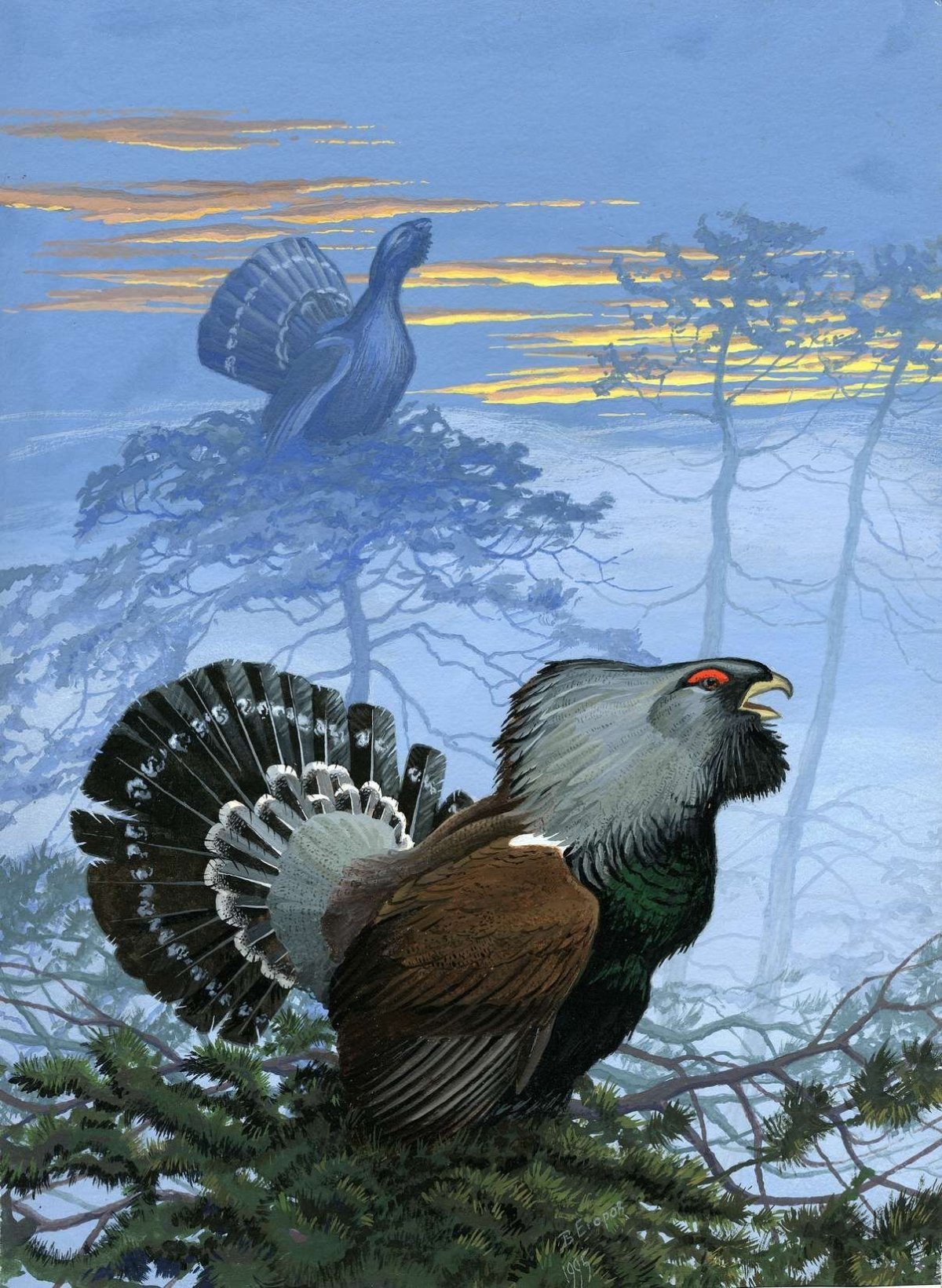 Рябчик серая куропатка