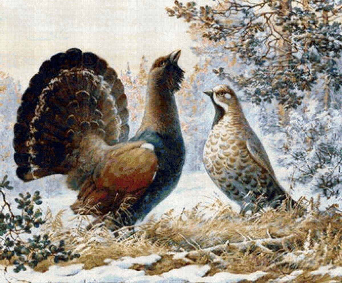 Фердинанд фон Вригт