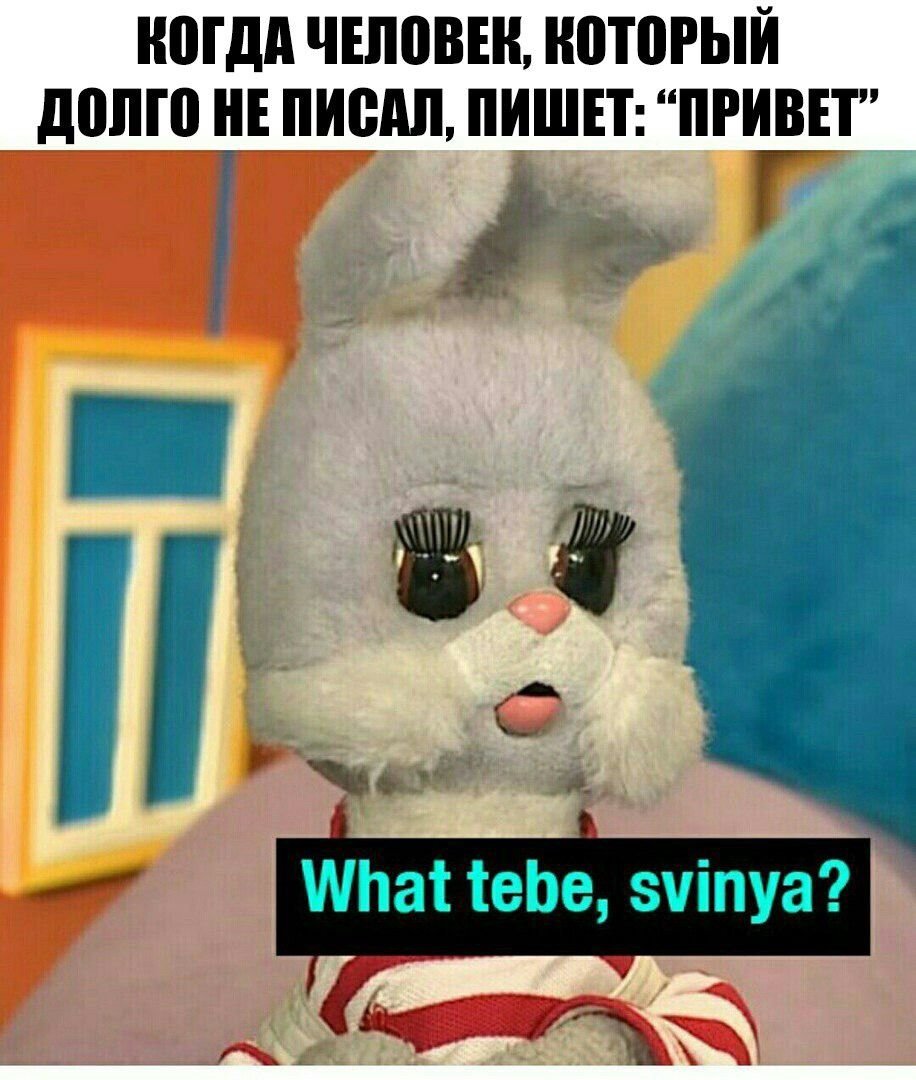 Каркуша и Степашка