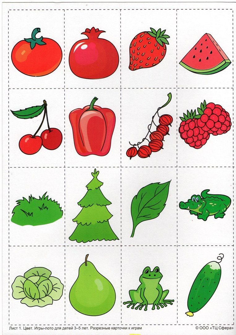 Дошкольники изучение цвета