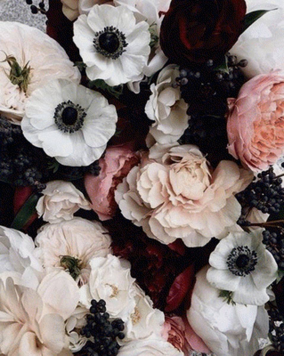 Анемона Эстетика