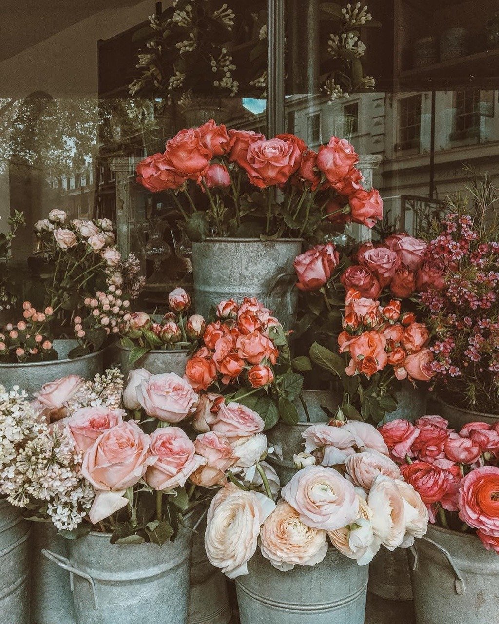 Цветы Эстетика с пинтереста