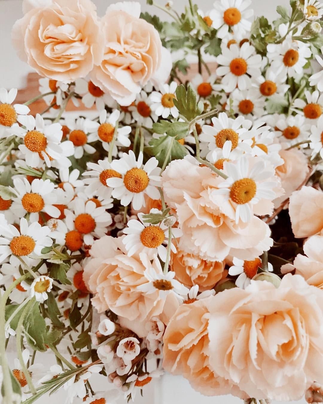 Цветы Pinterest