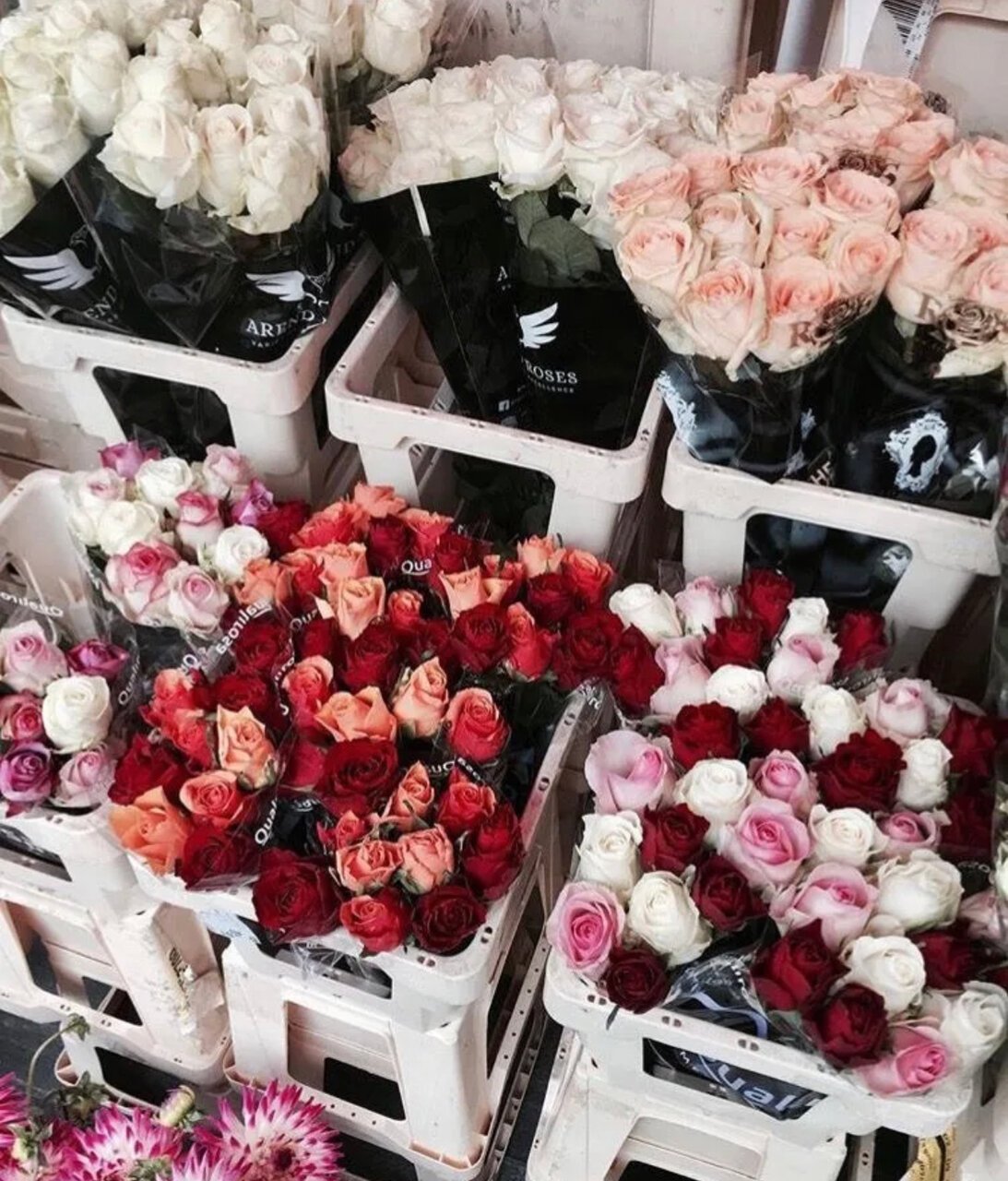 Много букетов цветов