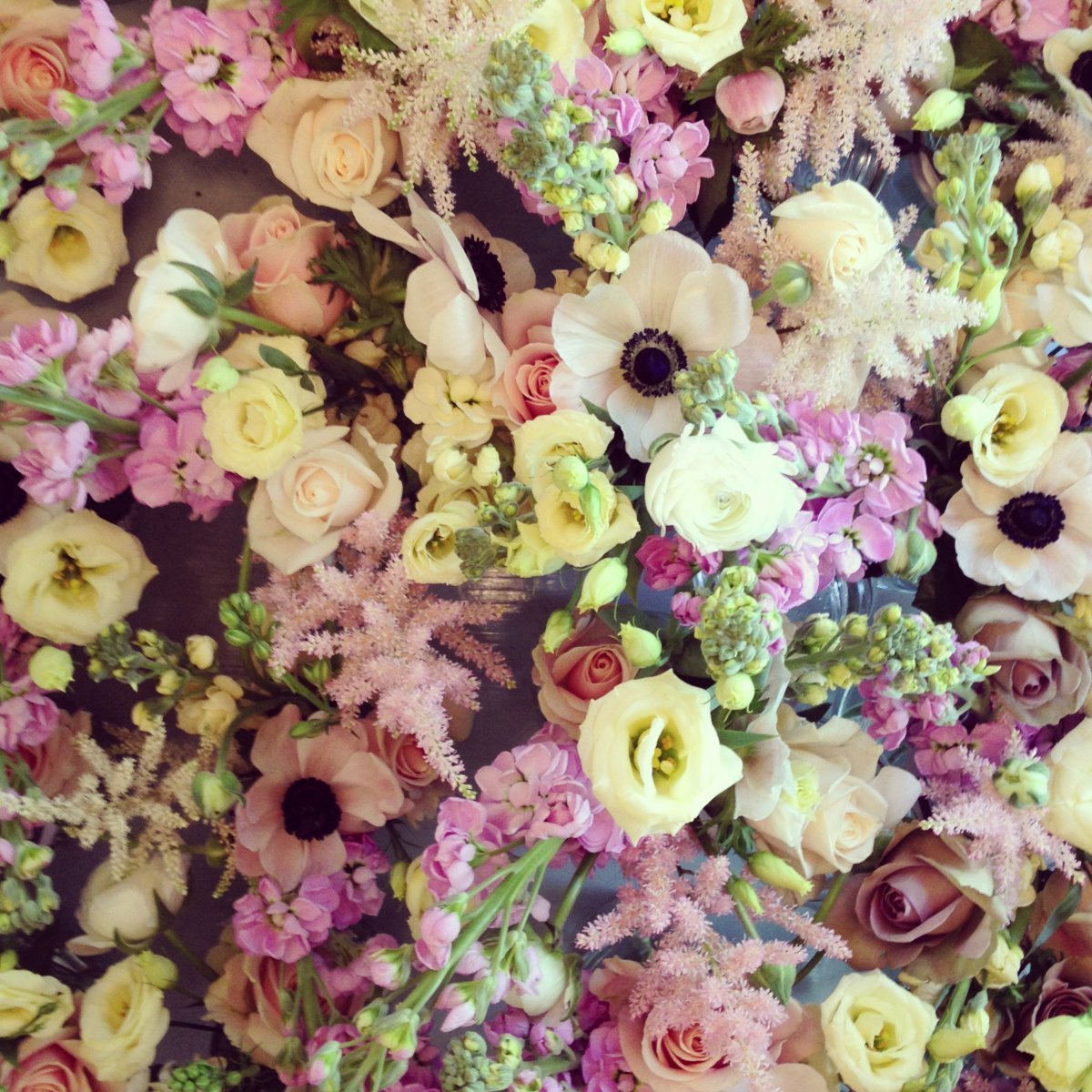 Красивый фон с цветами