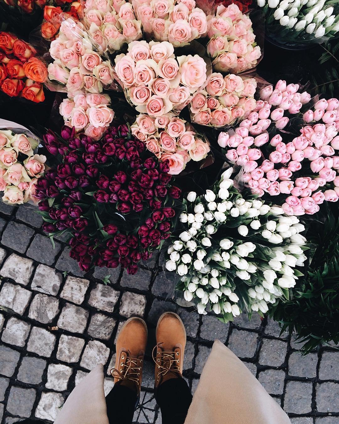 Цветы для эстетики