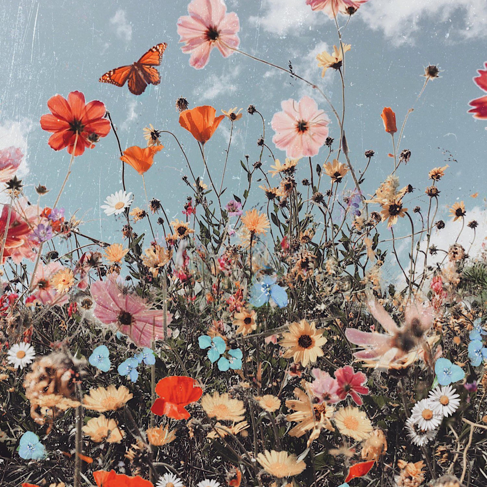 Цветы коллаж