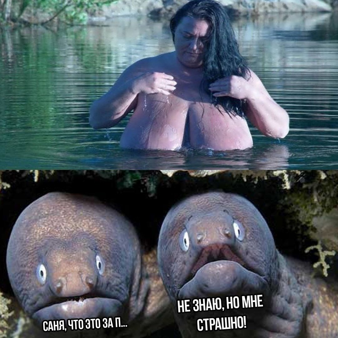 Карикатуры смешные