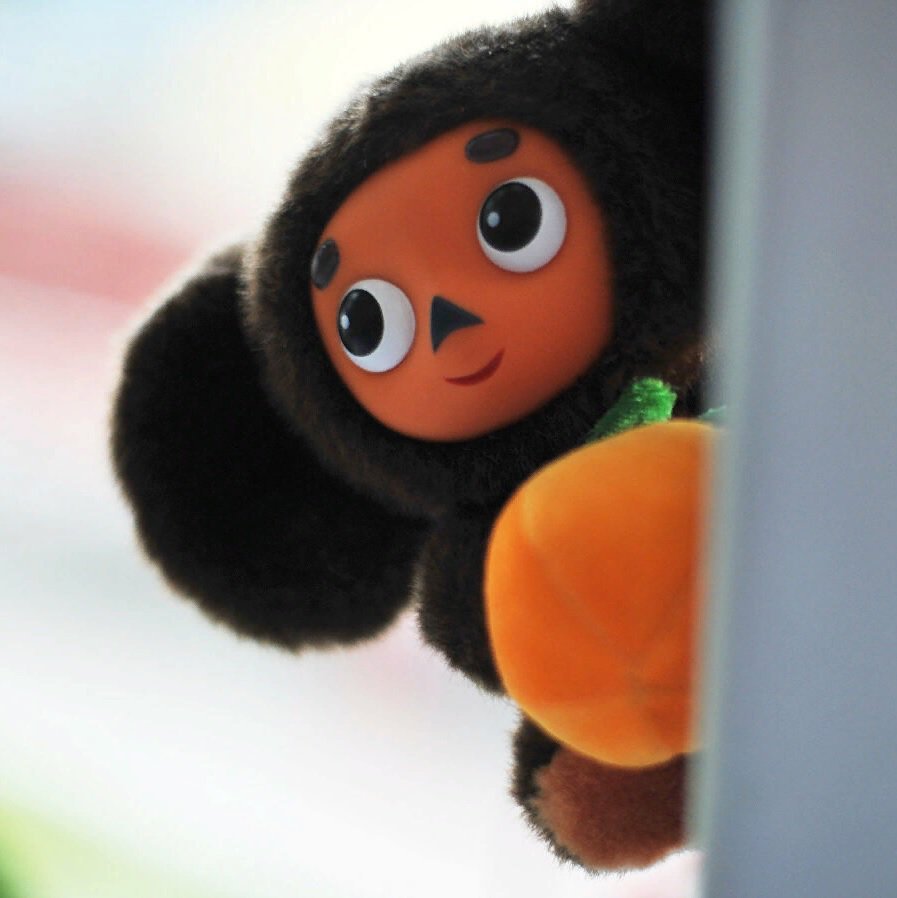 Подарок Чебурашка в мандаринах