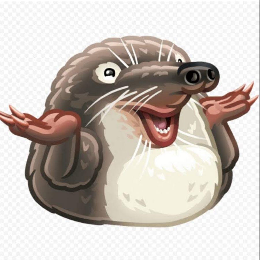 Выхухоль Нургуш