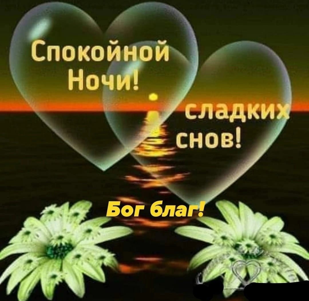 Спокойной ночи до завтра