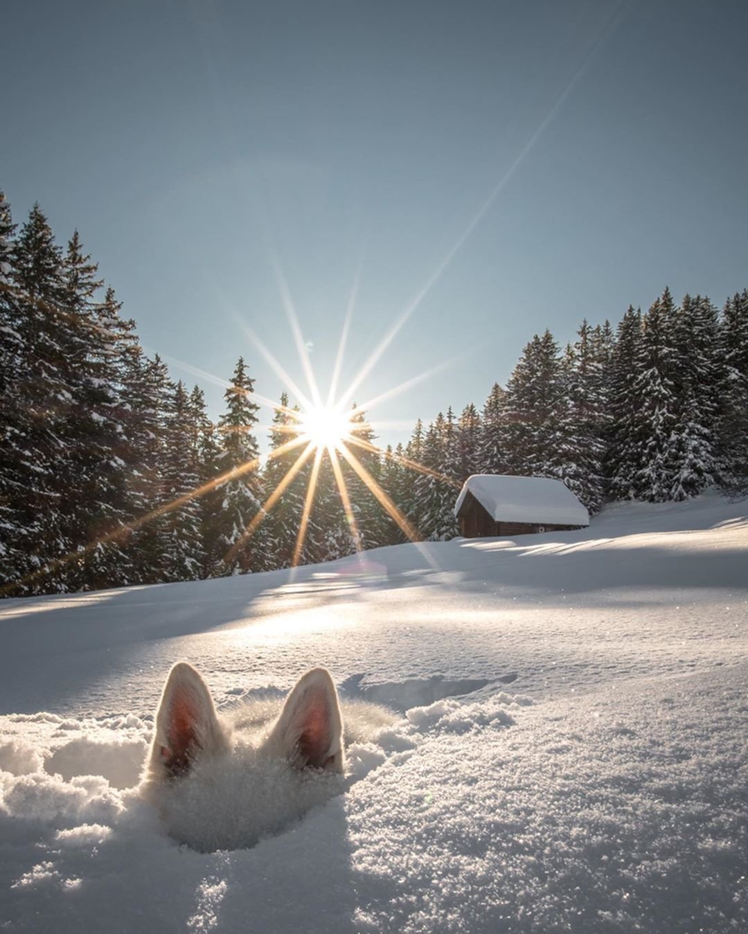 Снегопад утро