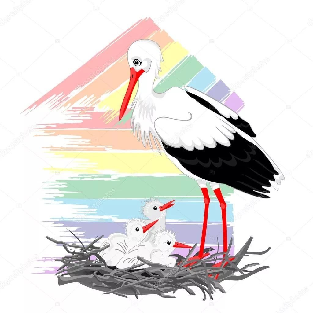 Векторные изображения гнезда аиста