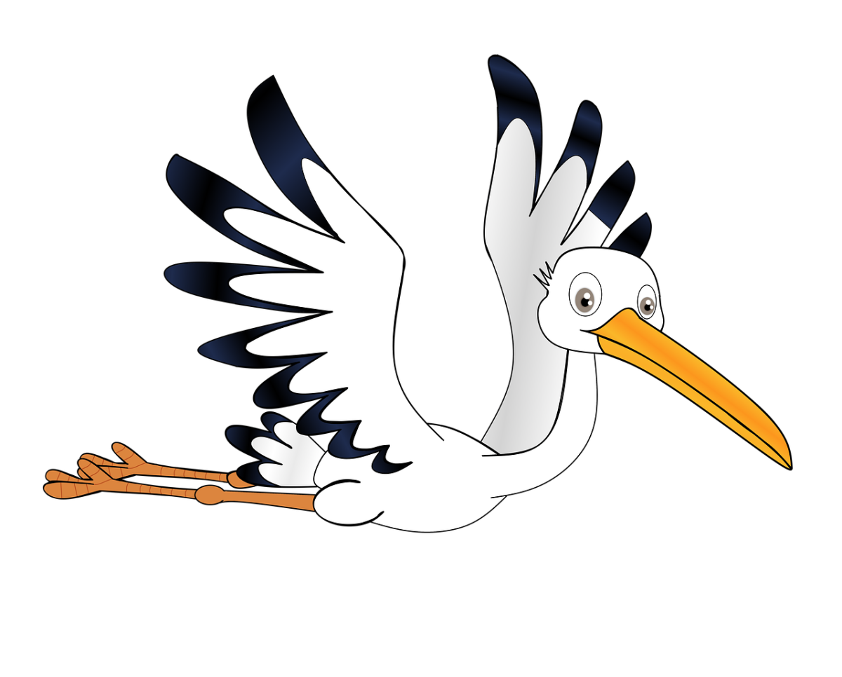 Аист рисунок