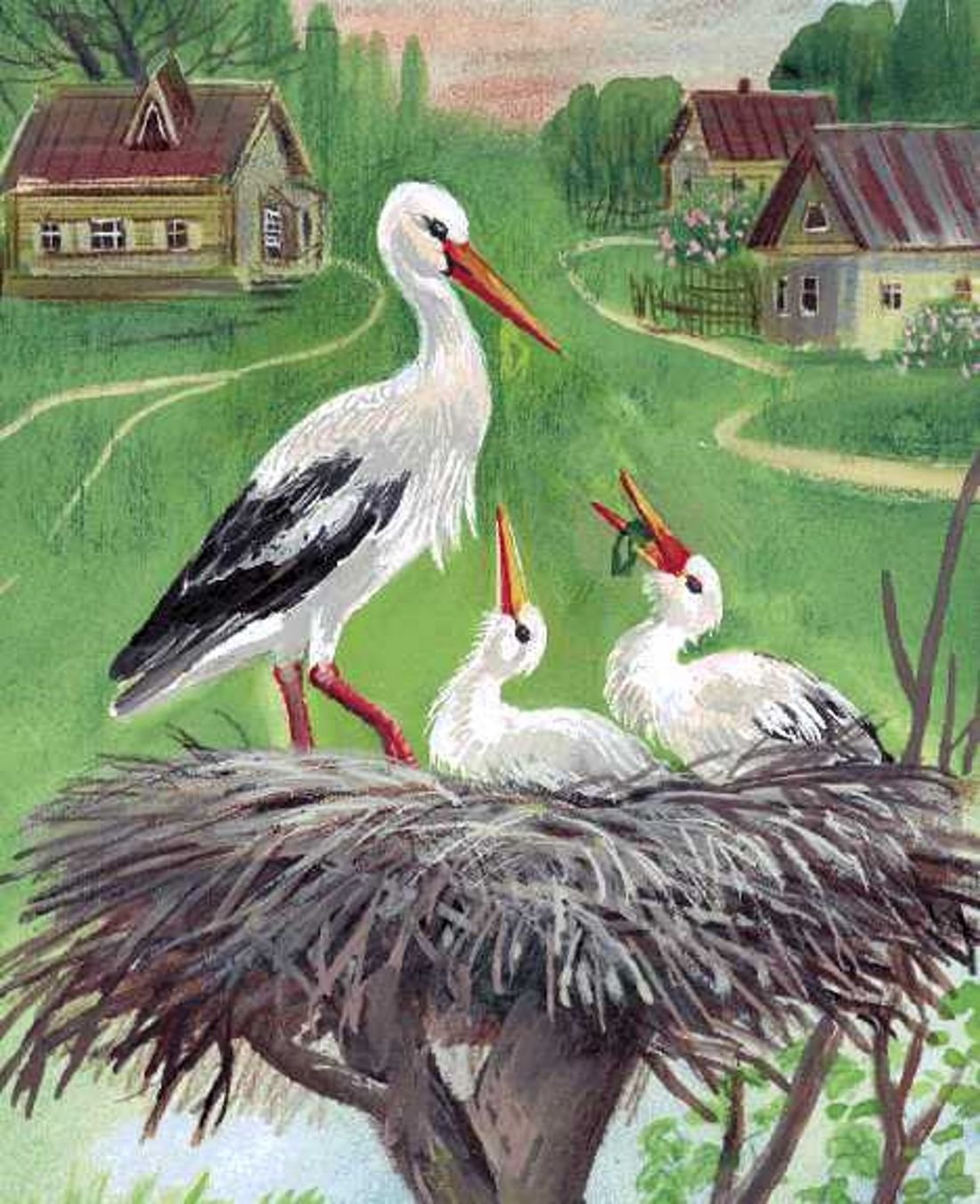 Аисты в гнезде живопись