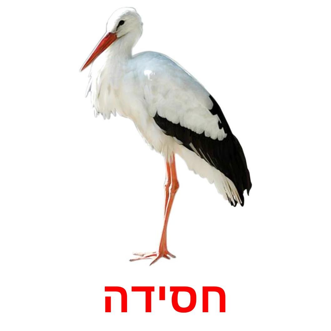 Аист картинка для детей с названием