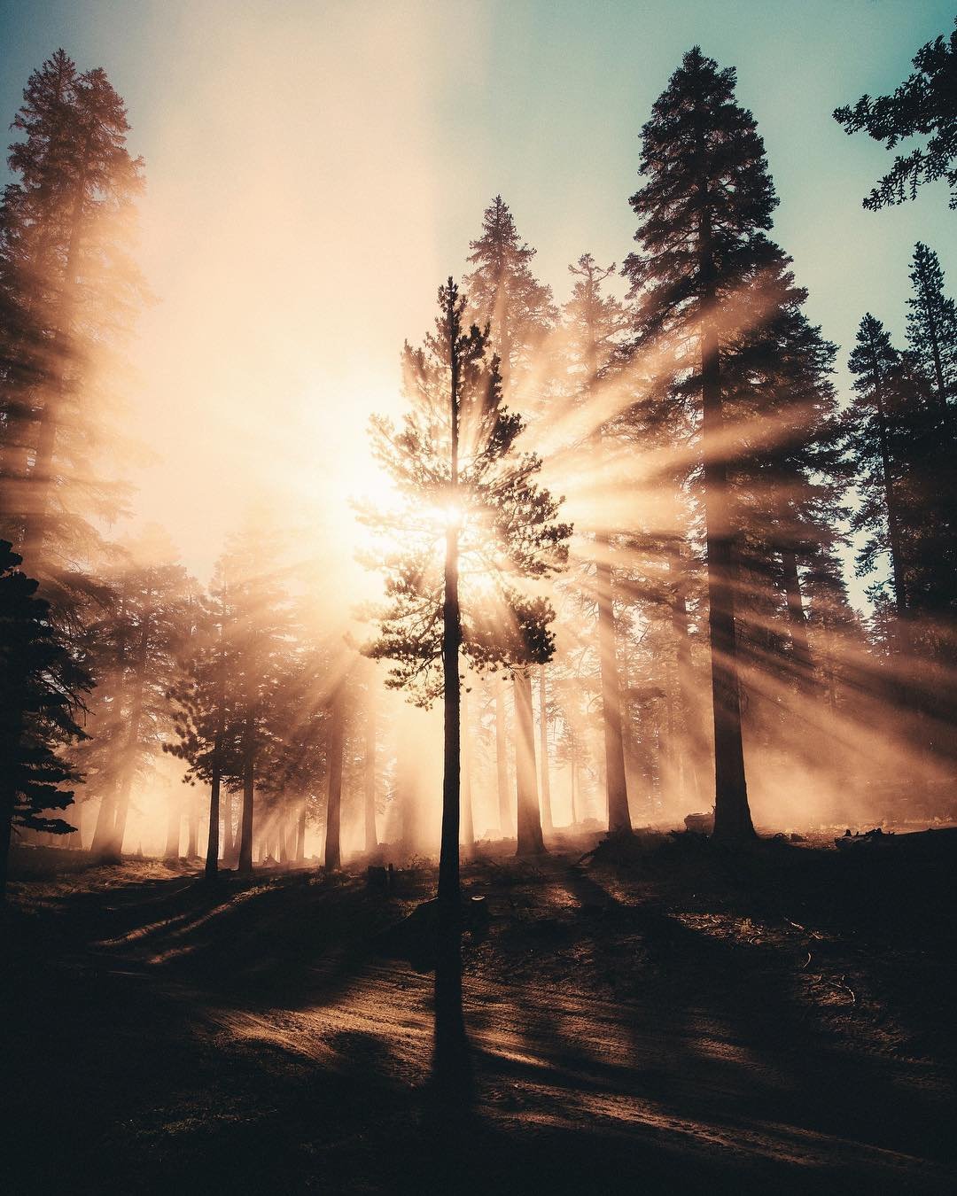 Теплый пейзаж Эстетика