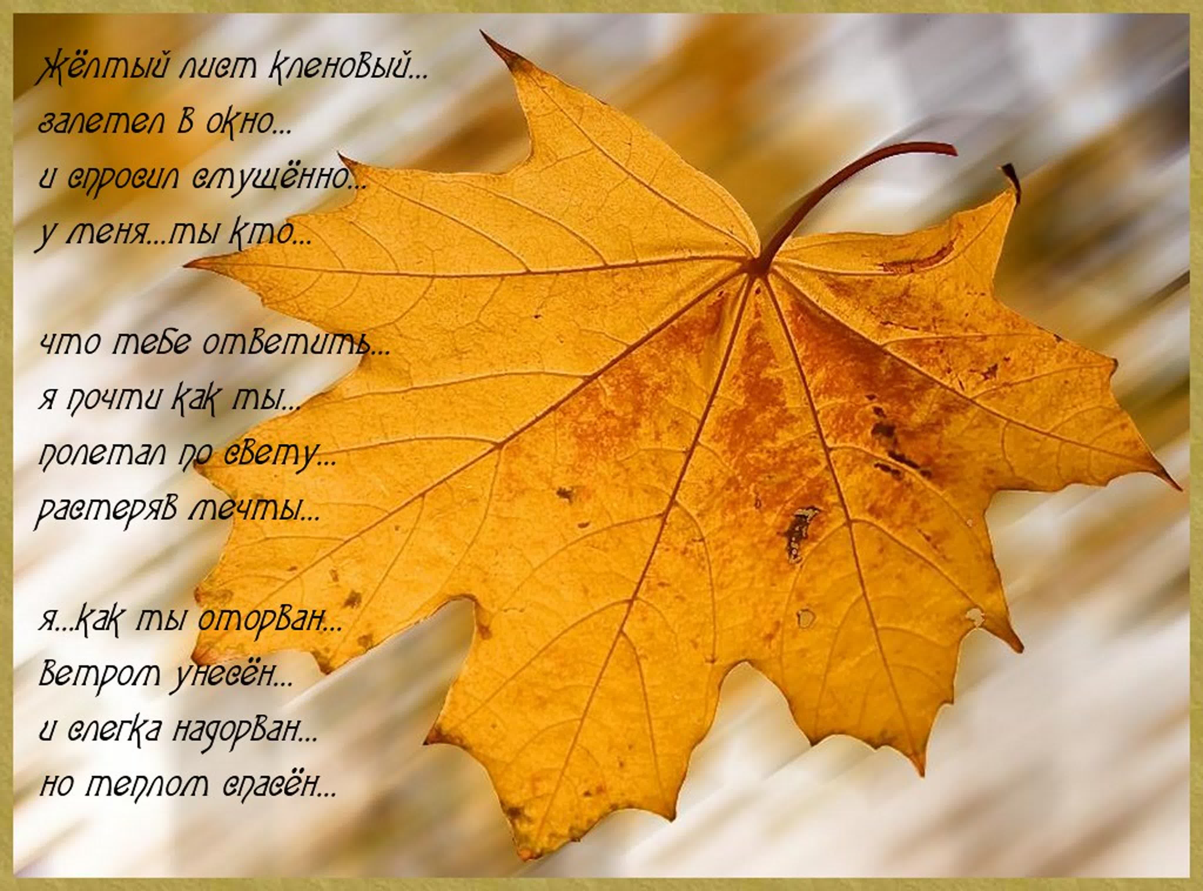 Текст грустит кленовая. Стихи про осень. Стих листья. Стих про кленовый лист. Стихотворение листья осенние.