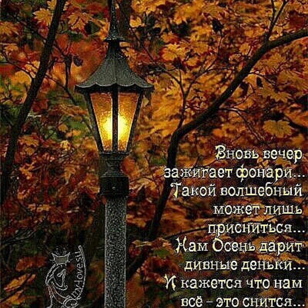 Осенняя ночь стихи красивые