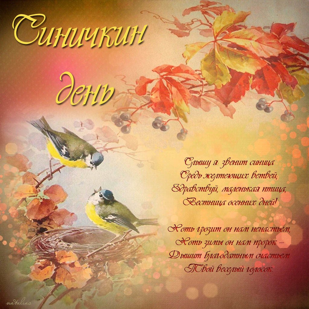 Синичкин день