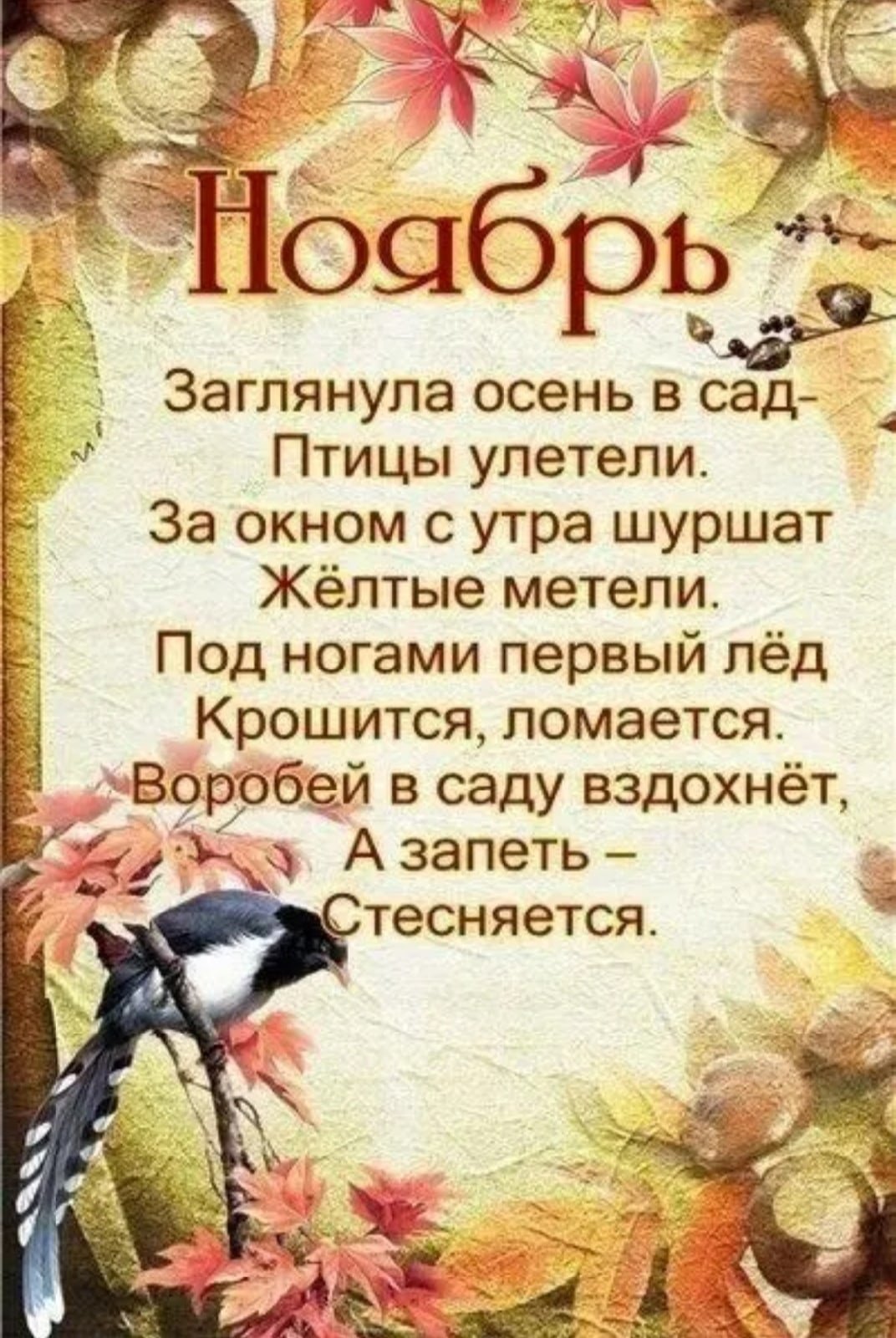 Стихи про ноябрь