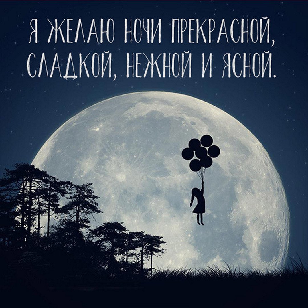 Спокойной ночи полнолуние
