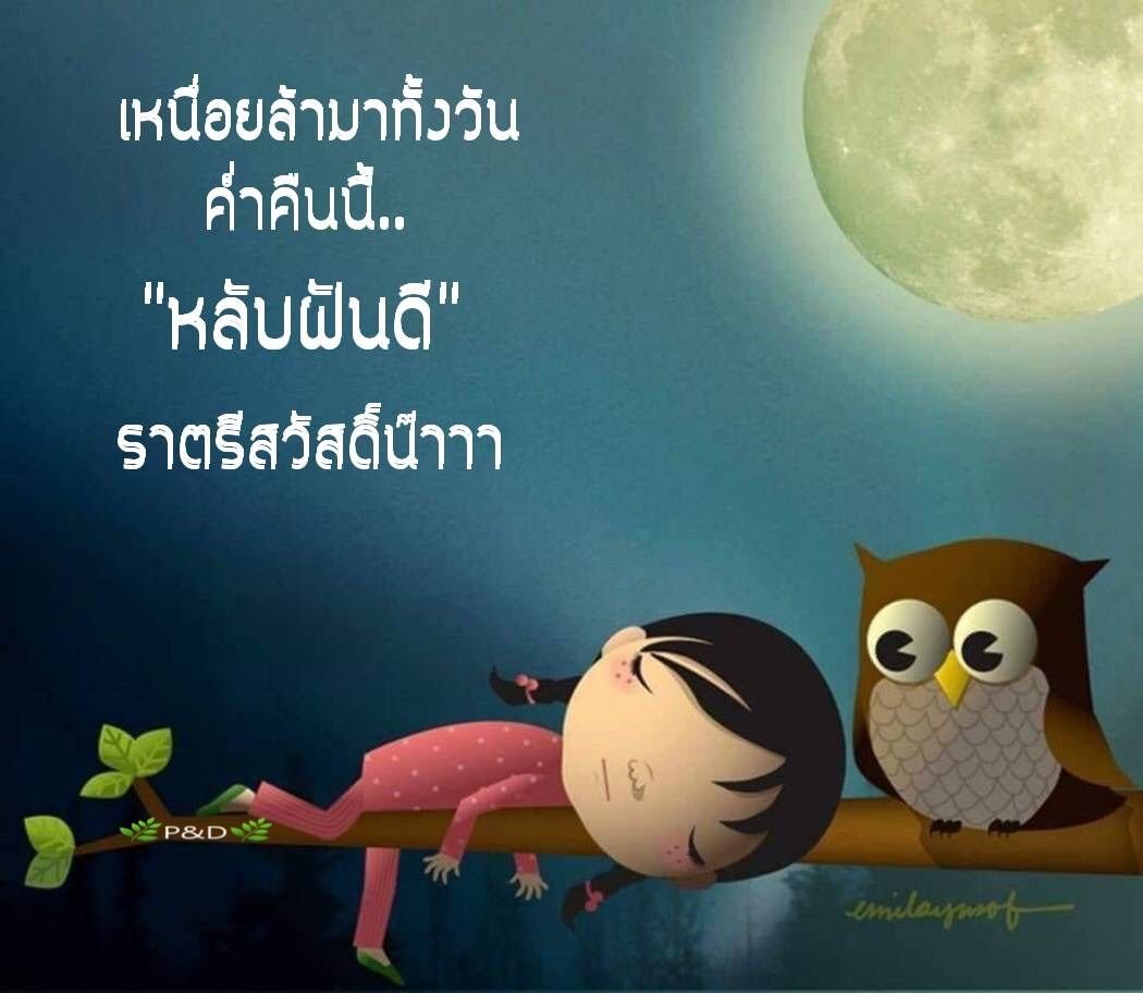 Спокойной ночи Сова