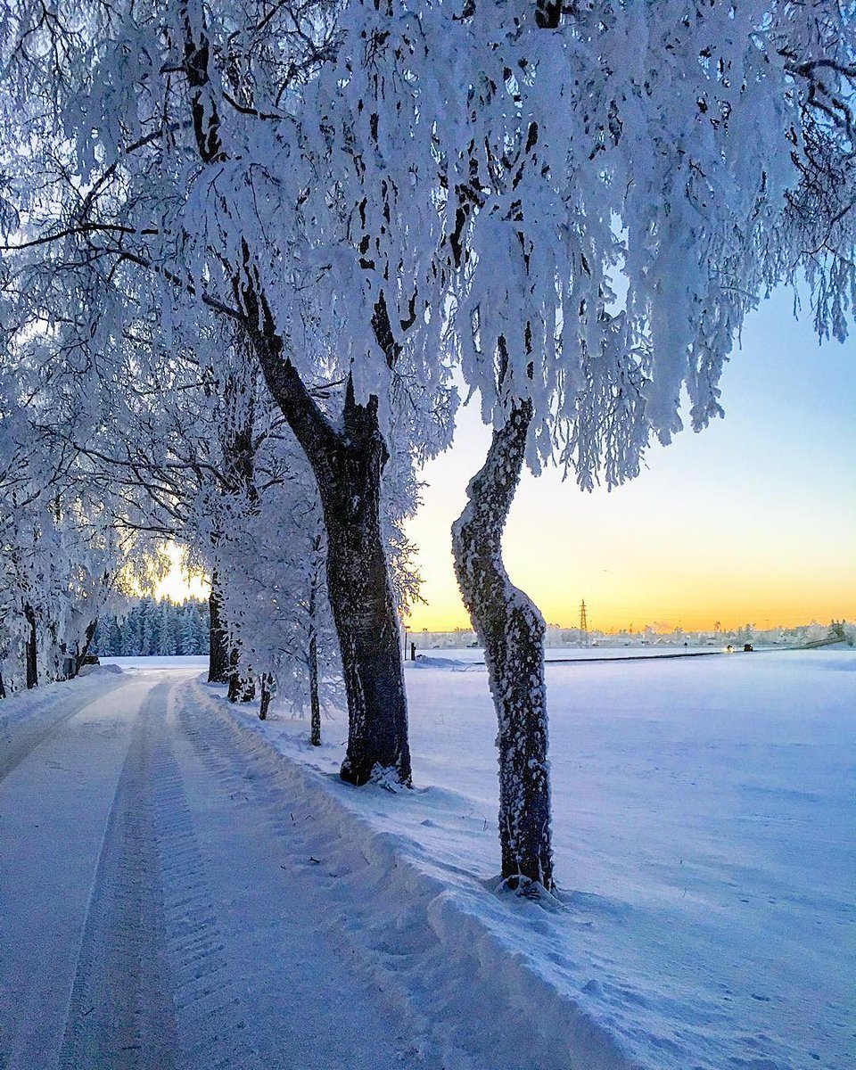 Пейзаж Зимушка зима