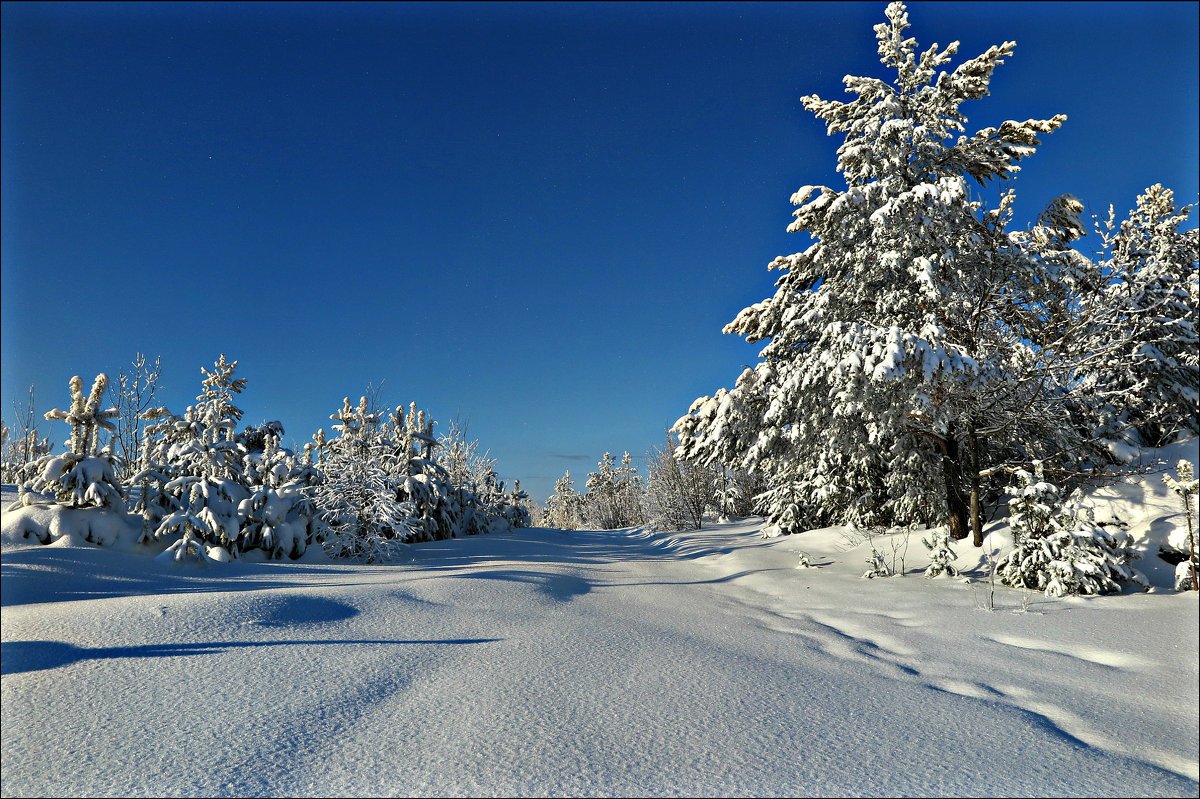 Зимушка зима
