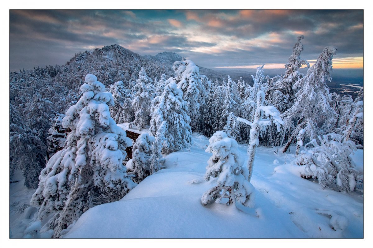Зимний пейзаж натуральный