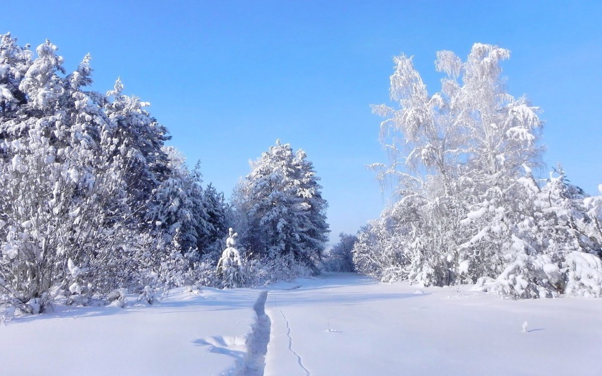 Фото Зимушка зима пейзаж