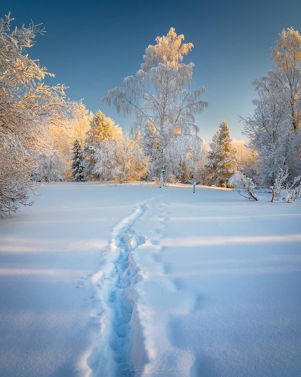 Зимняя сказка художник Цыганов Виктор