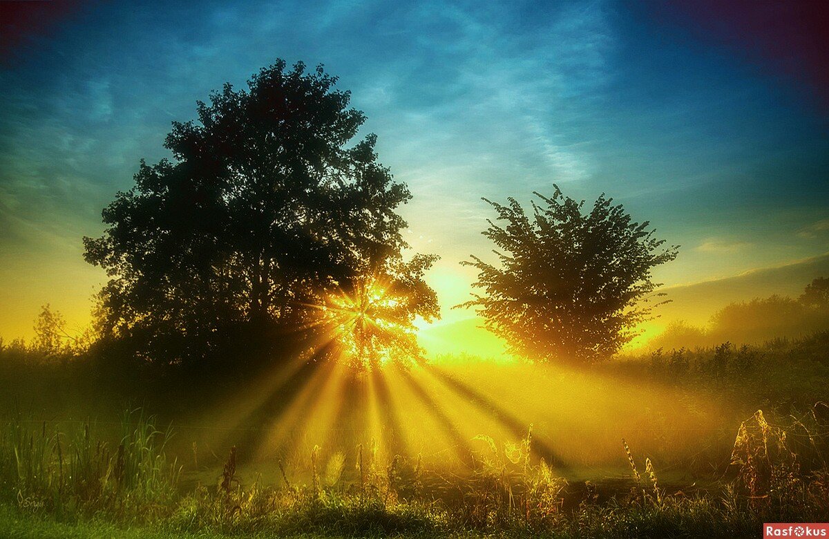 Рассвет жизни