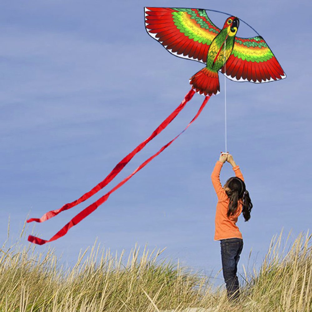 Красивый воздушный змей