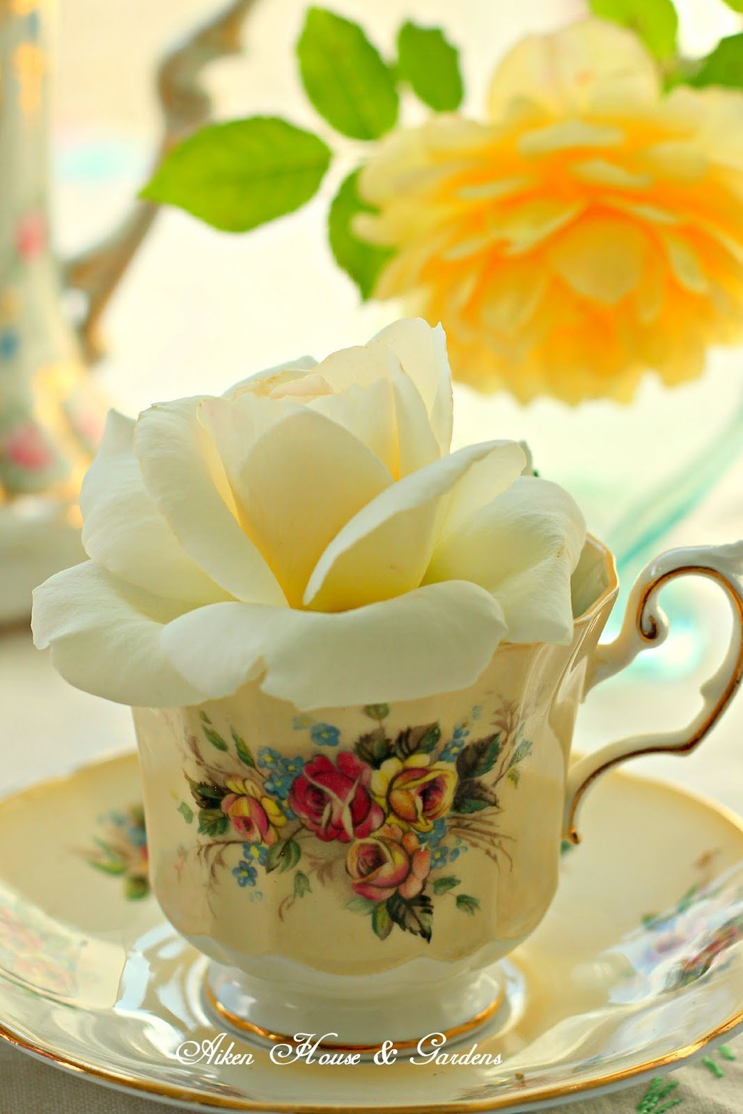 Хорошей субботы и отличного настроения