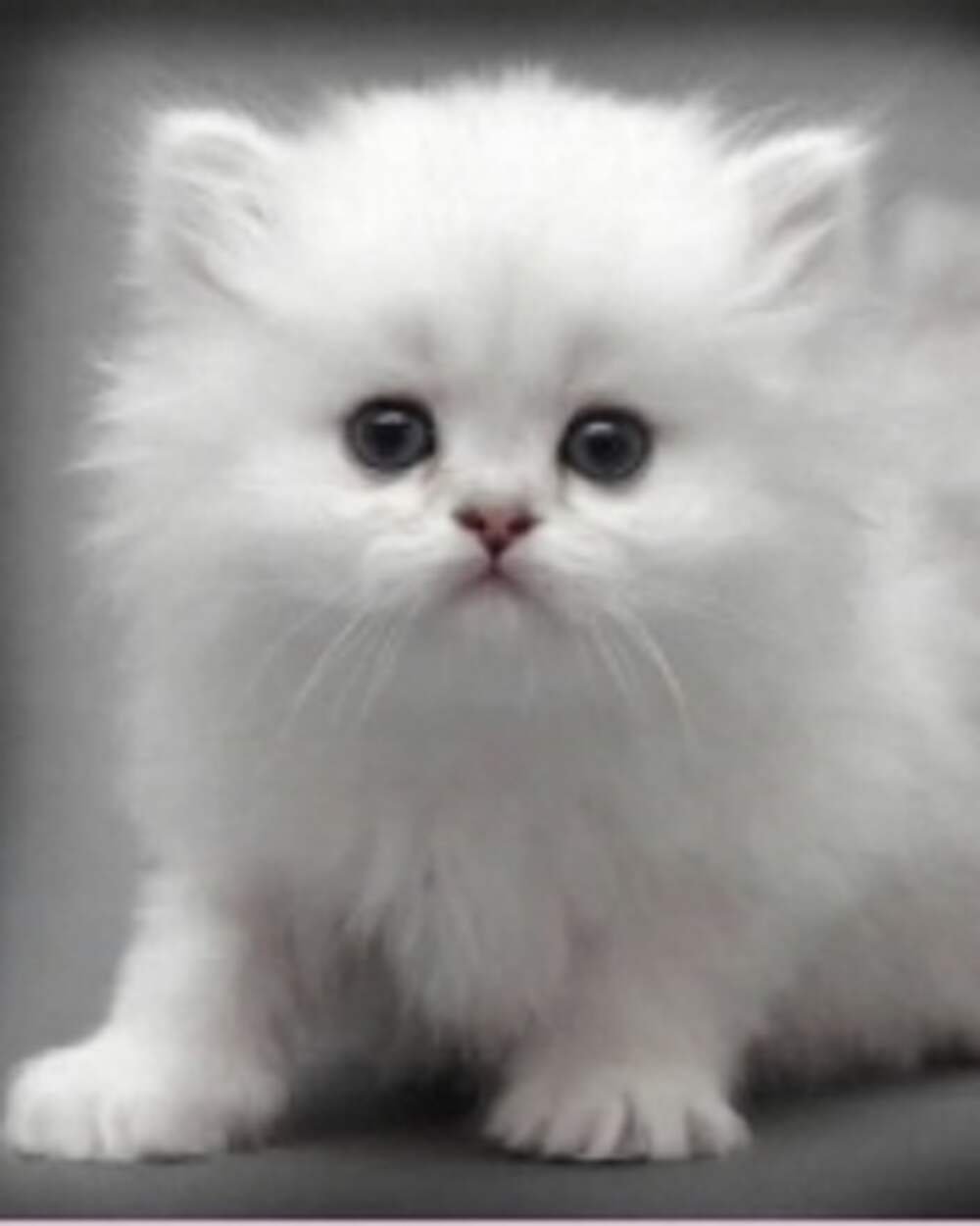 Картинки разные с надписями