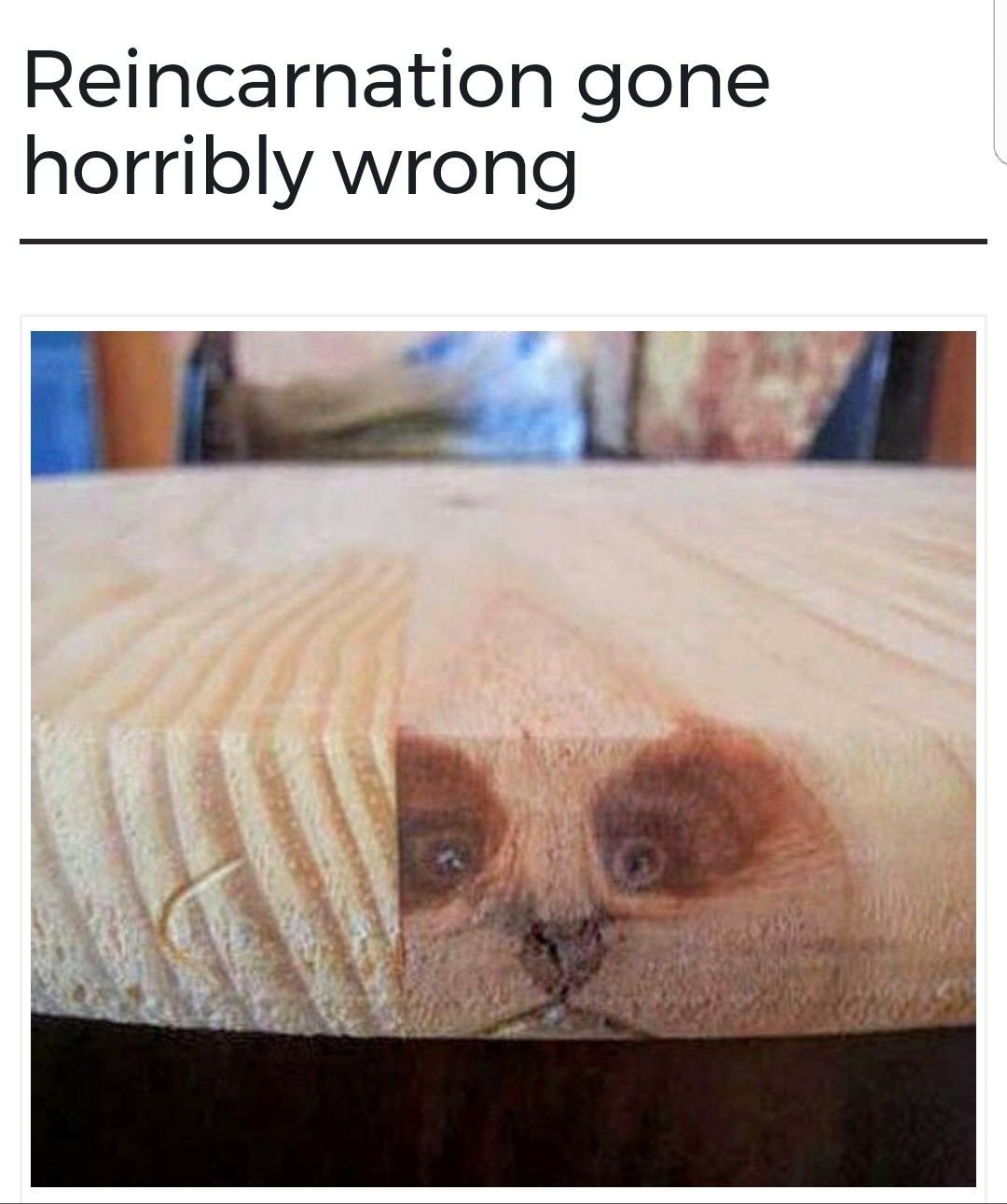 Смешные картинки памагити