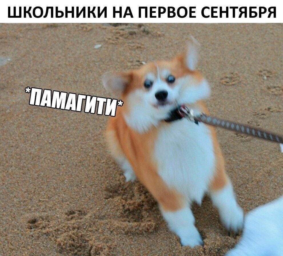 Памагитиии Мем