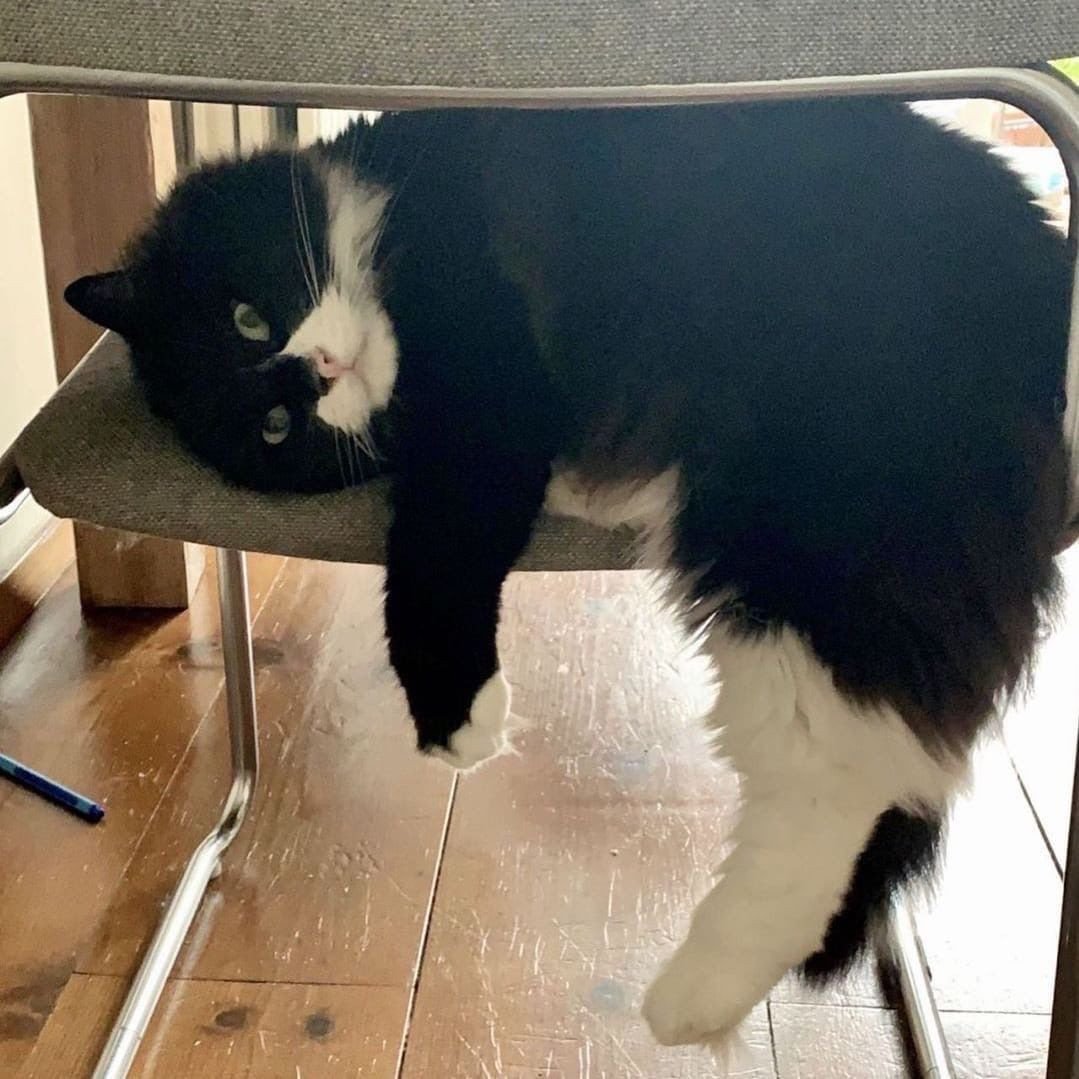 Фантазия прикол