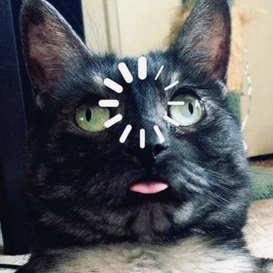 Кот рыгает Мем