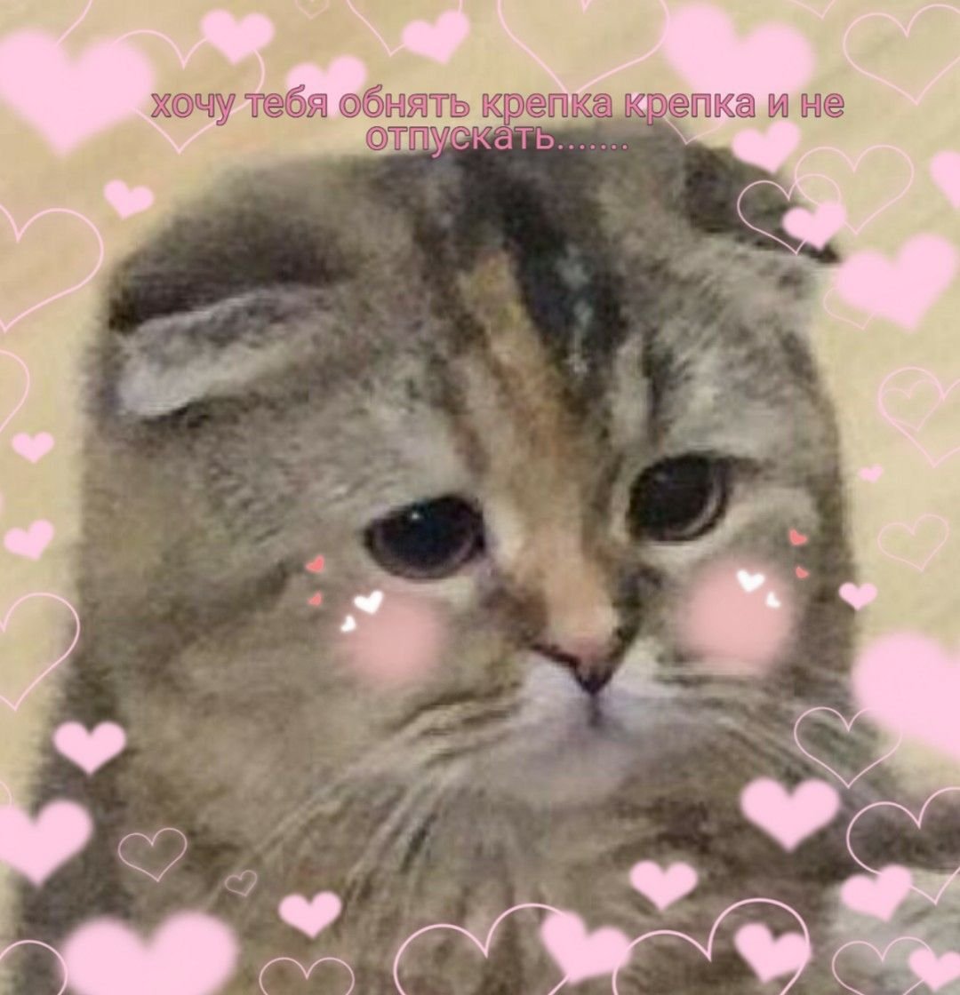 Кот с глазами в разные стороны Мем