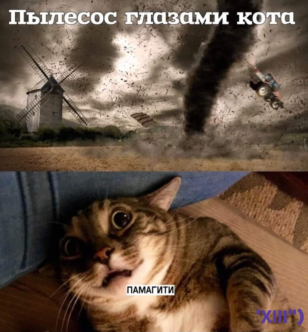 Смешные картинки памагити