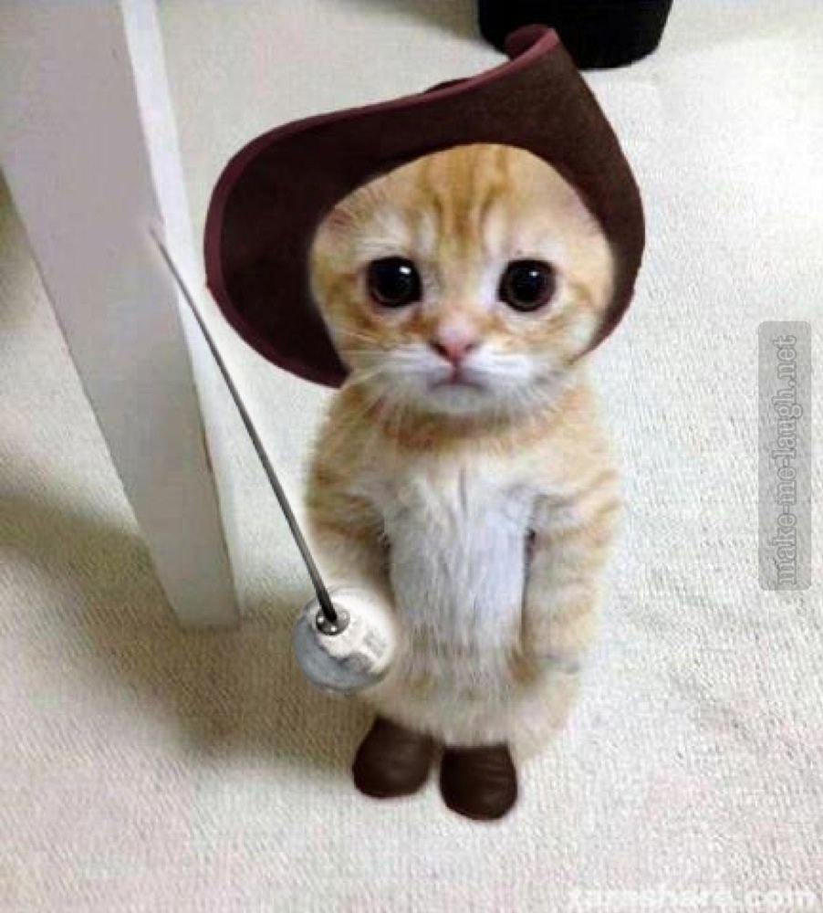 Некрасивые пельмени