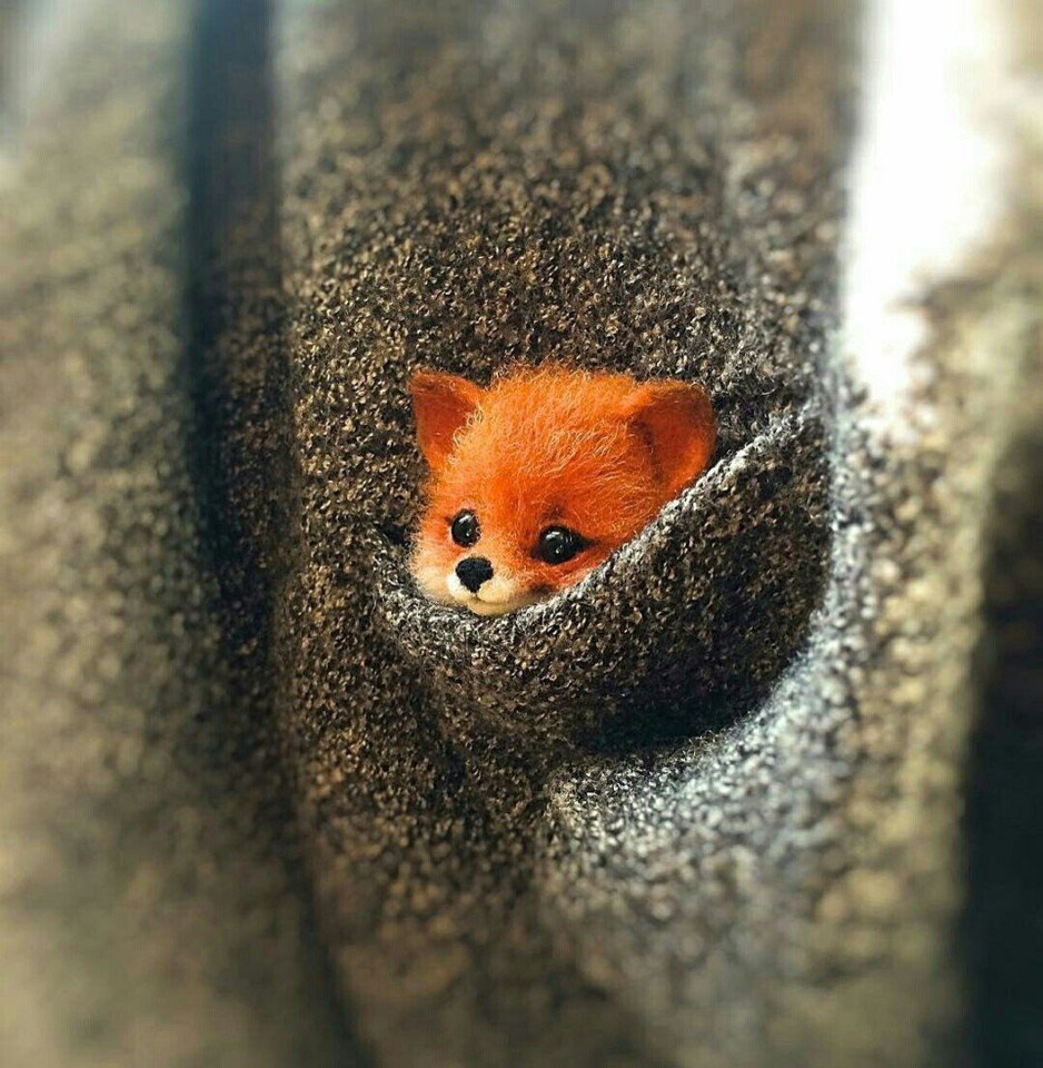 Кот кусает провод