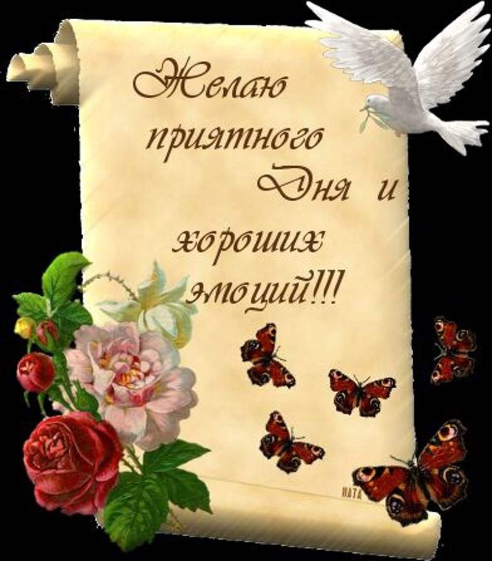 Всем доброго времени суток