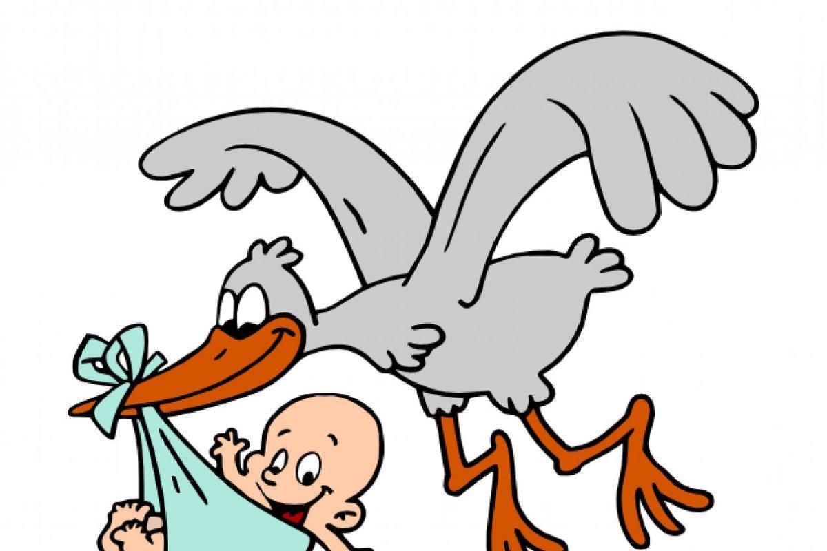 Смешной Аист с ребенком