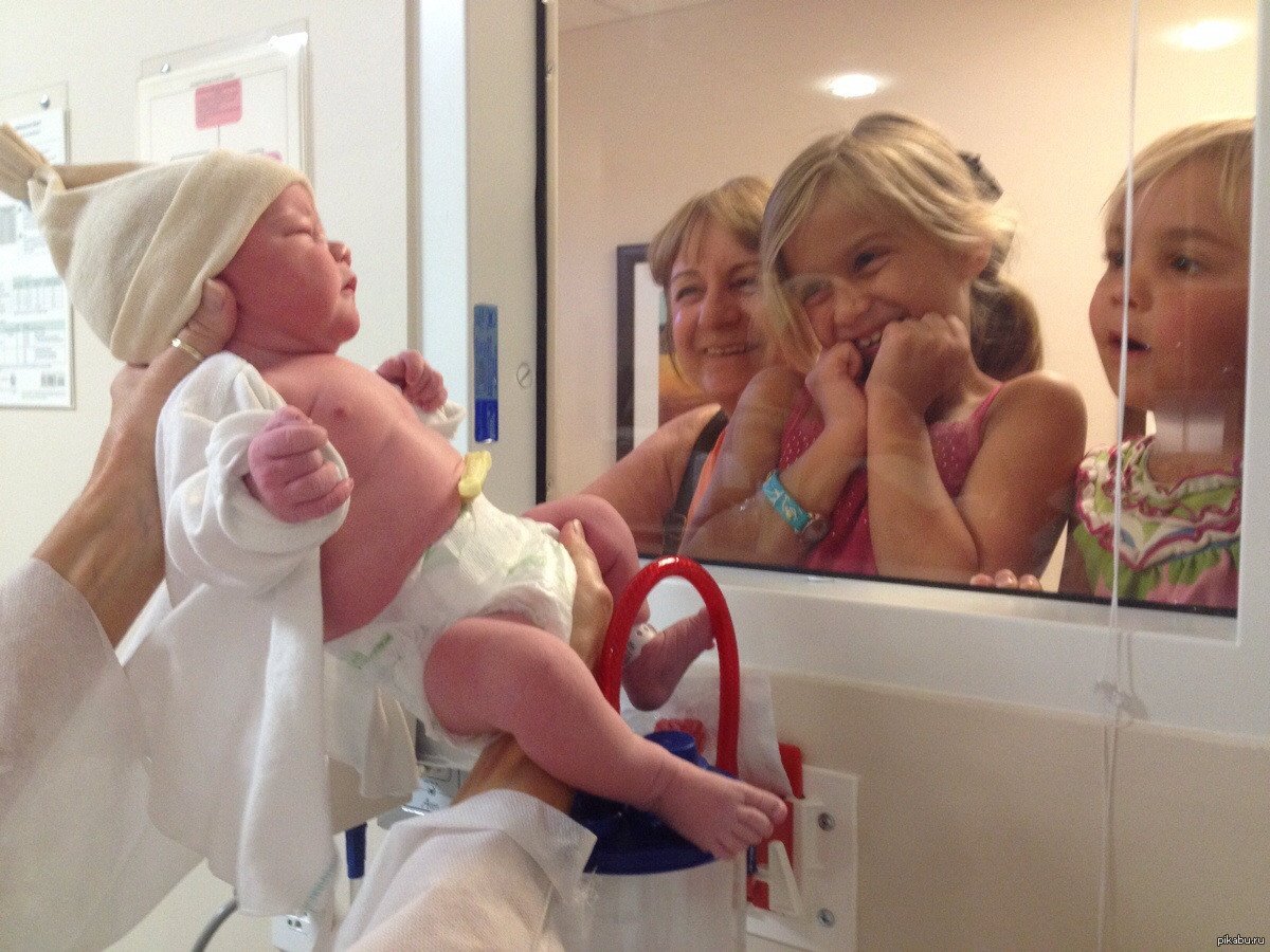 Аист с новорожденным