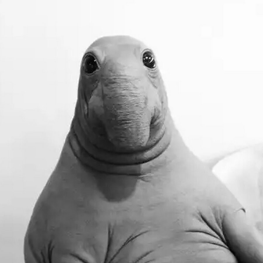 Гомункулус Локсодонтус Ждун