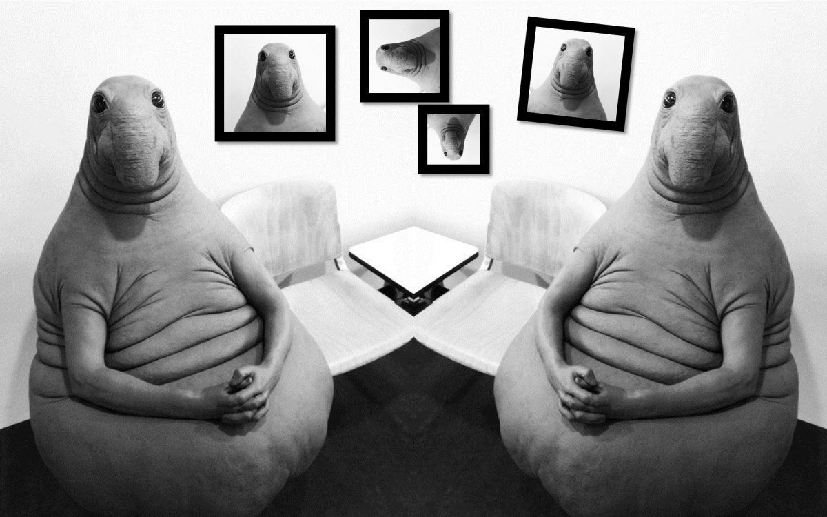 Ждун девочка