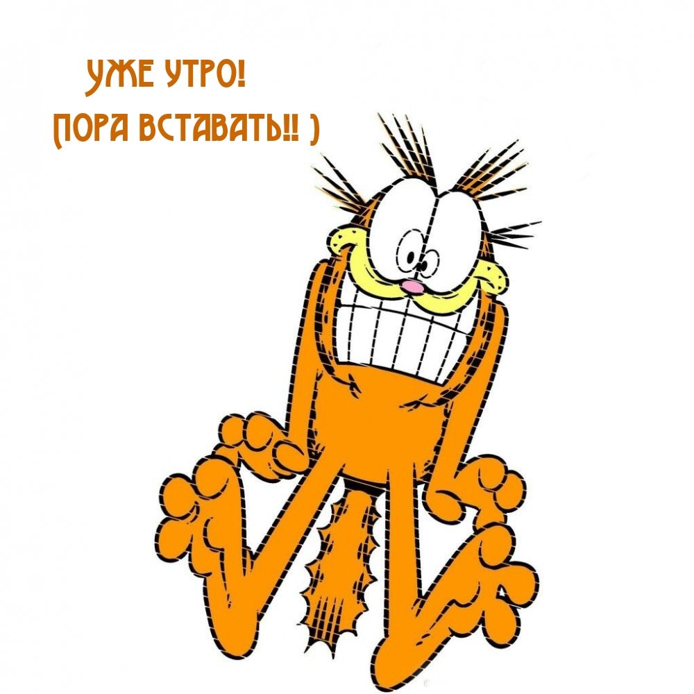 Просыпайся прикольные